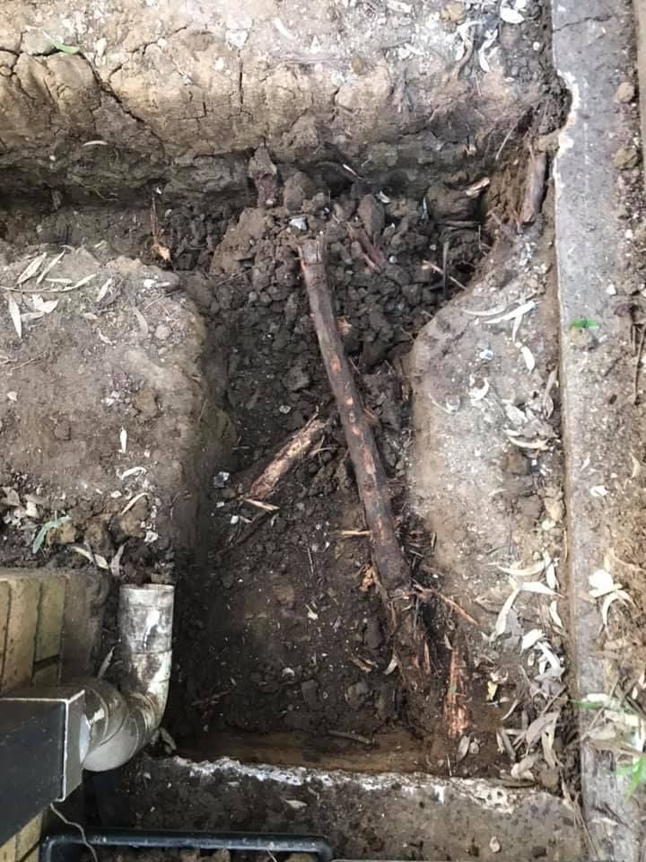 28 23-05-2021.jpg 28 23-05-2021.jpg