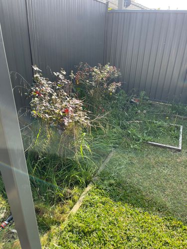 IMG_4221.jpeg IMG_4221.jpeg