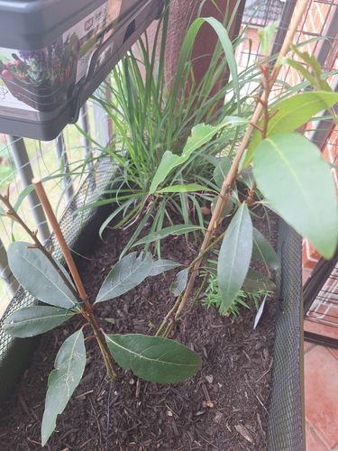 1730787517789354517615967504004.jpg 1730787517789354517615967504004.jpg