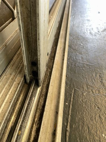 IMG_5065.jpeg IMG_5065.jpeg