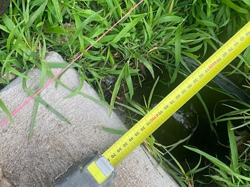 IMG_6984.jpeg IMG_6984.jpeg