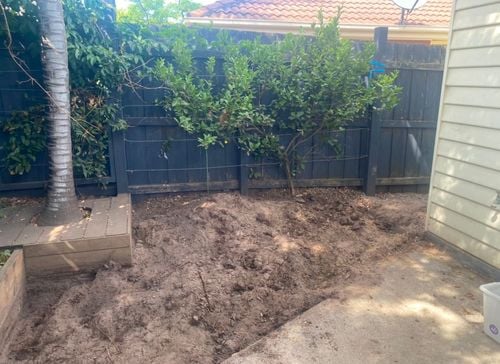 IMG_7506.jpeg IMG_7506.jpeg