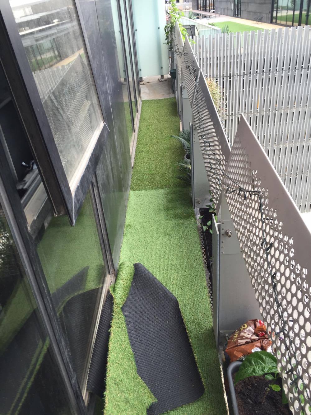 16667131_10154070771472434_336301339_o.jpg 16667131_10154070771472434_336301339_o.jpg