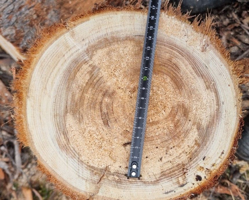 20251109_115734.jpg 20251109_115734.jpg