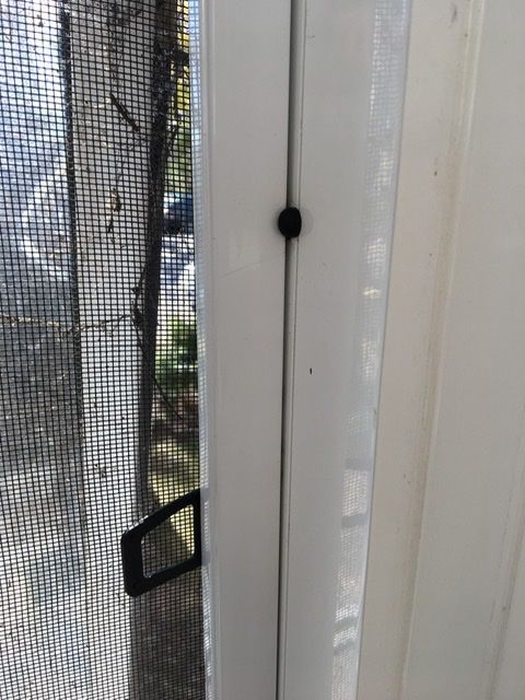 DC662FEC-42DB-4621-B23A-6C86DBCF3587.jpeg DC662FEC-42DB-4621-B23A-6C86DBCF3587.jpeg