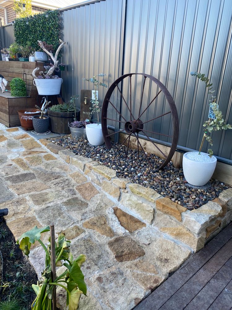 8CCF507F-FCEA-45A0-9065-030193D43111.jpeg 8CCF507F-FCEA-45A0-9065-030193D43111.jpeg