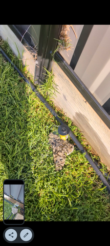 1000049861.png 1000049861.png