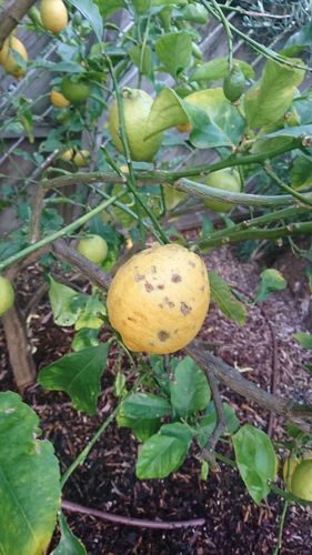 DSC_1877.JPG DSC_1877.JPG