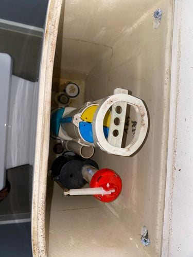 IMG_1162.jpeg IMG_1162.jpeg