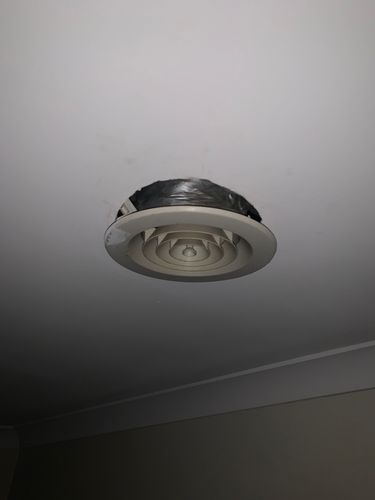 IMG_9719.jpeg IMG_9719.jpeg