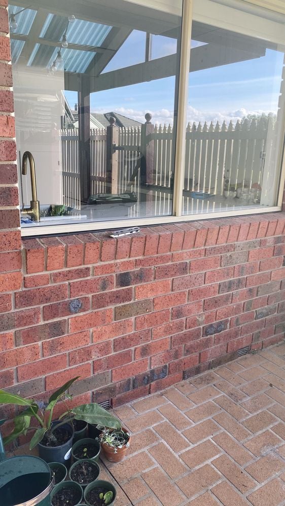 IMG_0531.JPG IMG_0531.JPG