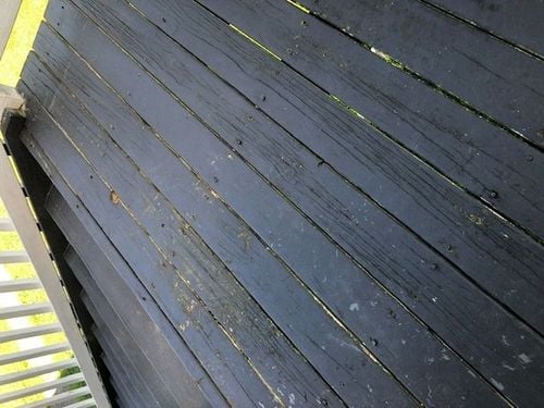 E82E84A2-025C-47C1-8A43-3615BBB1B305.jpeg E82E84A2-025C-47C1-8A43-3615BBB1B305.jpeg