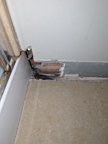 1000004043.jpg 1000004043.jpg