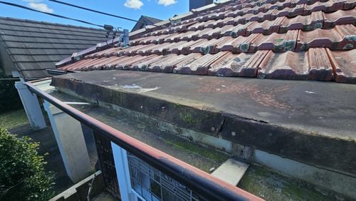 1000026095.jpg 1000026095.jpg