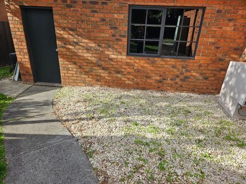 1000014144.jpg 1000014144.jpg