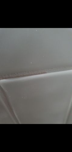 Screenshot_20231006-195217_Gallery.jpg Screenshot_20231006-195217_Gallery.jpg