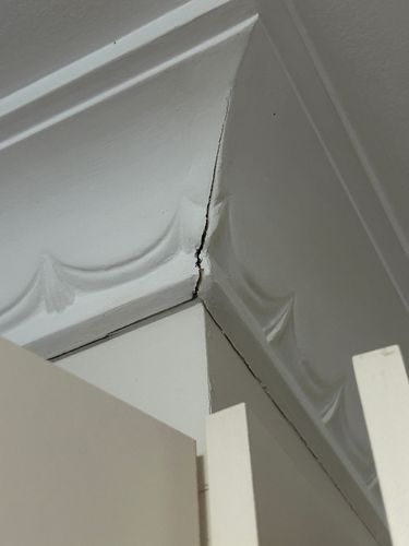 IMG_0907.jpeg IMG_0907.jpeg