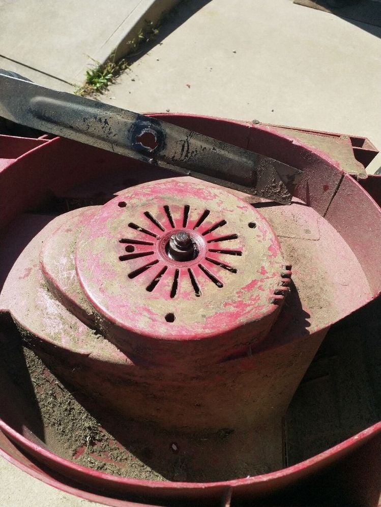 Ozito Mower.jpg Ozito Mower.jpg