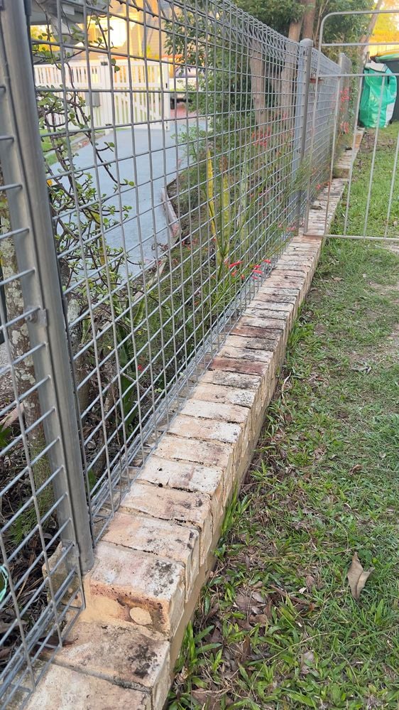 IMG_1701.jpeg IMG_1701.jpeg