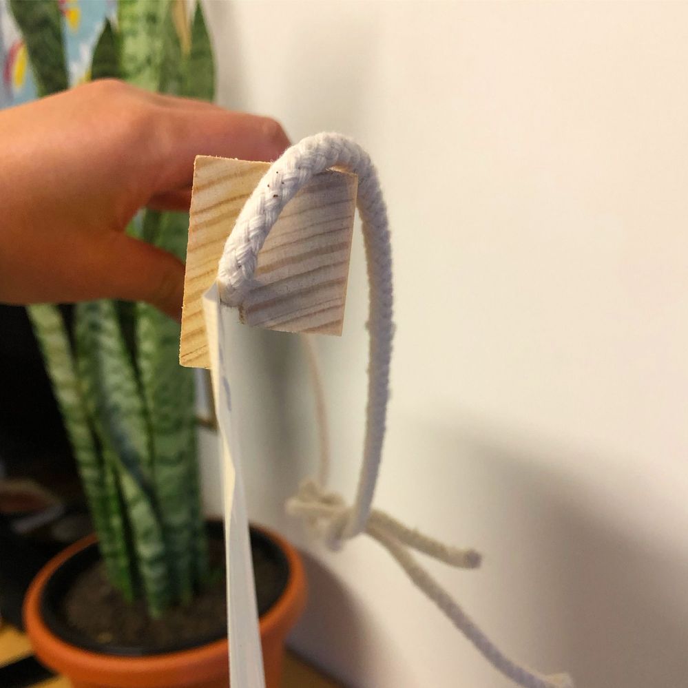 12398E9A-D3B6-496C-8A22-98B739A6DD81.JPG 12398E9A-D3B6-496C-8A22-98B739A6DD81.JPG