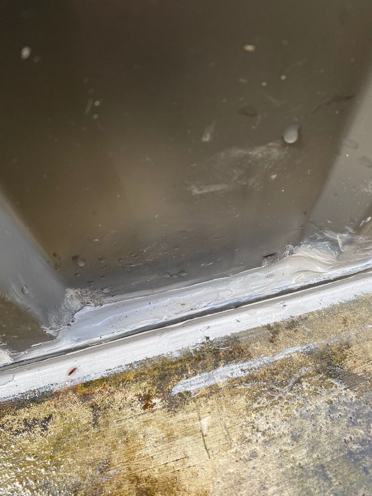 IMG_3731.jpeg IMG_3731.jpeg