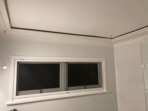 IMG_4313.jpeg IMG_4313.jpeg