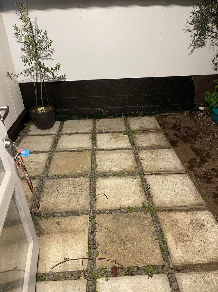 273999140_970939460223823_5052848171408579512_n.jpg 273999140_970939460223823_5052848171408579512_n.jpg