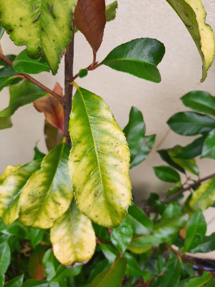 20220101_131910.jpg 20220101_131910.jpg