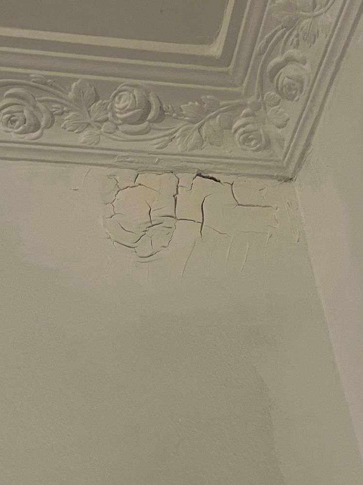 Drummy render.jpg Drummy render.jpg