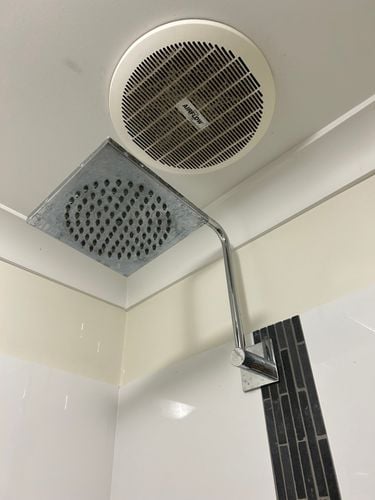 IMG_9005.jpeg IMG_9005.jpeg