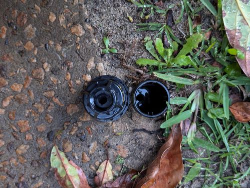 PXL_20241005_102755403.MP copy.jpeg PXL_20241005_102755403.MP copy.jpeg