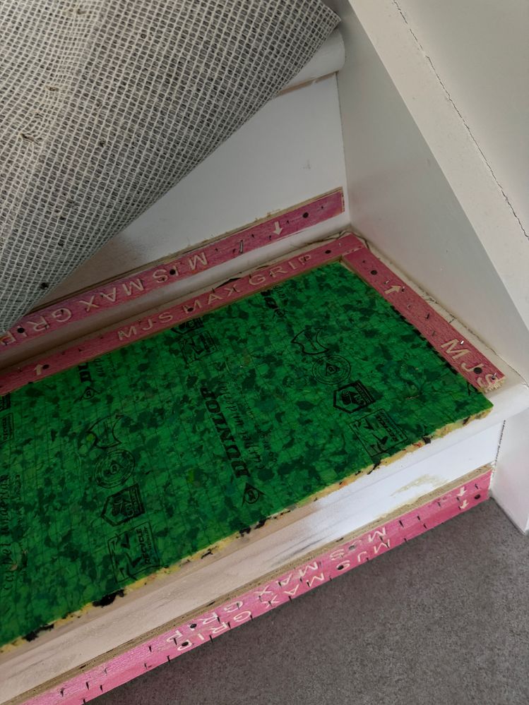 IMG_4493.jpeg IMG_4493.jpeg