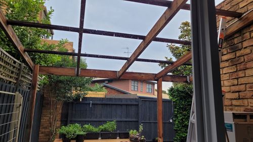 20241124_171551.jpg 20241124_171551.jpg