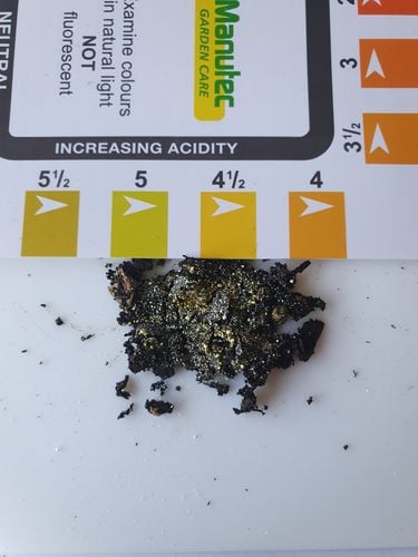 20250613_104051.jpg 20250613_104051.jpg