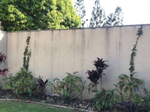 652FDF38-8005-45D0-B248-5D45FCE8E453.jpeg 652FDF38-8005-45D0-B248-5D45FCE8E453.jpeg