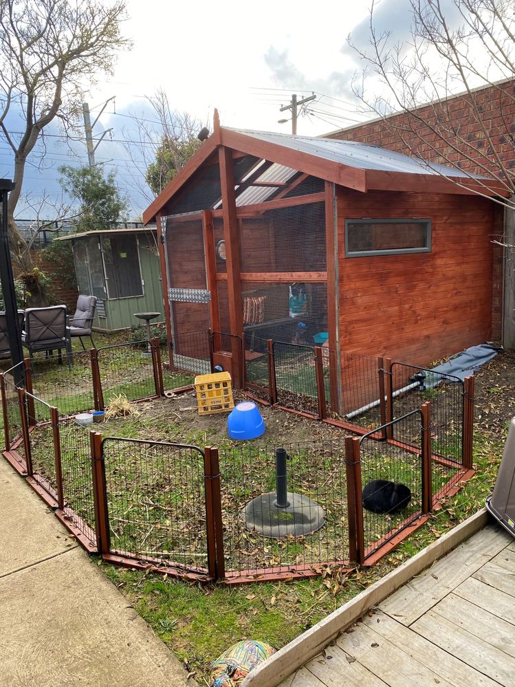 IMG-0359 (2).jpg IMG-0359 (2).jpg