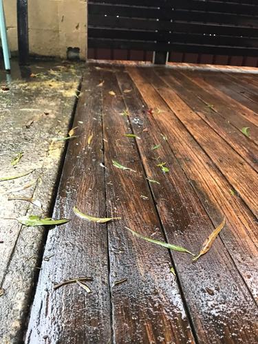 48 29-11-2023.jpg 48 29-11-2023.jpg