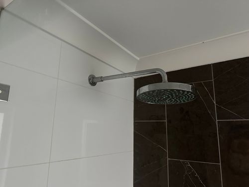 IMG_1514.jpeg IMG_1514.jpeg