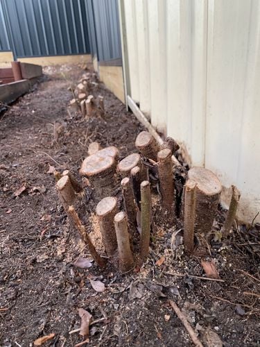 IMG_2029.jpeg IMG_2029.jpeg