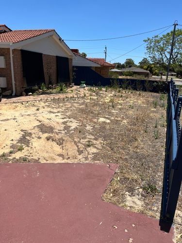 IMG_9798.jpeg IMG_9798.jpeg