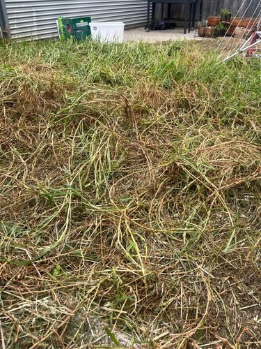 IMG_6221.jpg IMG_6221.jpg