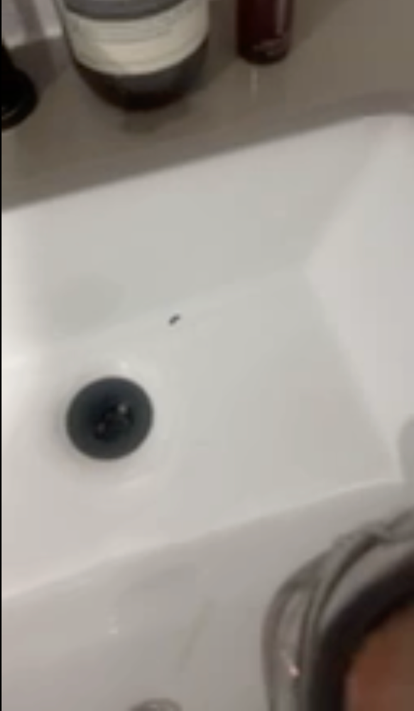 Screenshot 2024-09-03 at 1.25.09 PM.png Screenshot 2024-09-03 at 1.25.09 PM.png