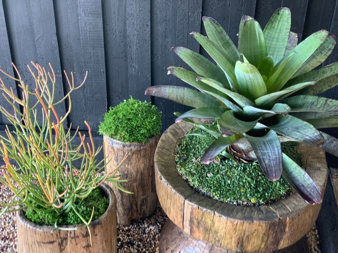 IMG_4923.jpeg IMG_4923.jpeg