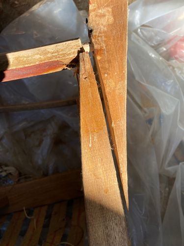 IMG_6197.jpeg IMG_6197.jpeg