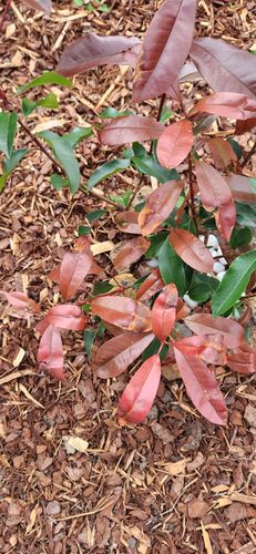 1000024325.jpg 1000024325.jpg