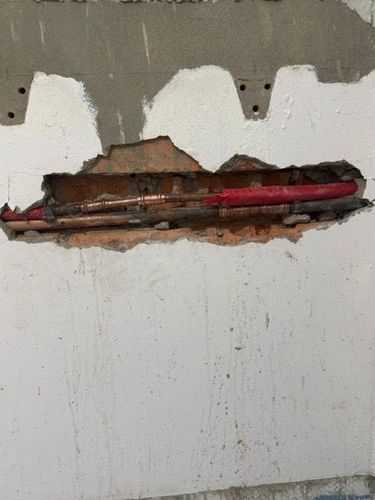 IMG_5567 Medium.jpeg IMG_5567 Medium.jpeg