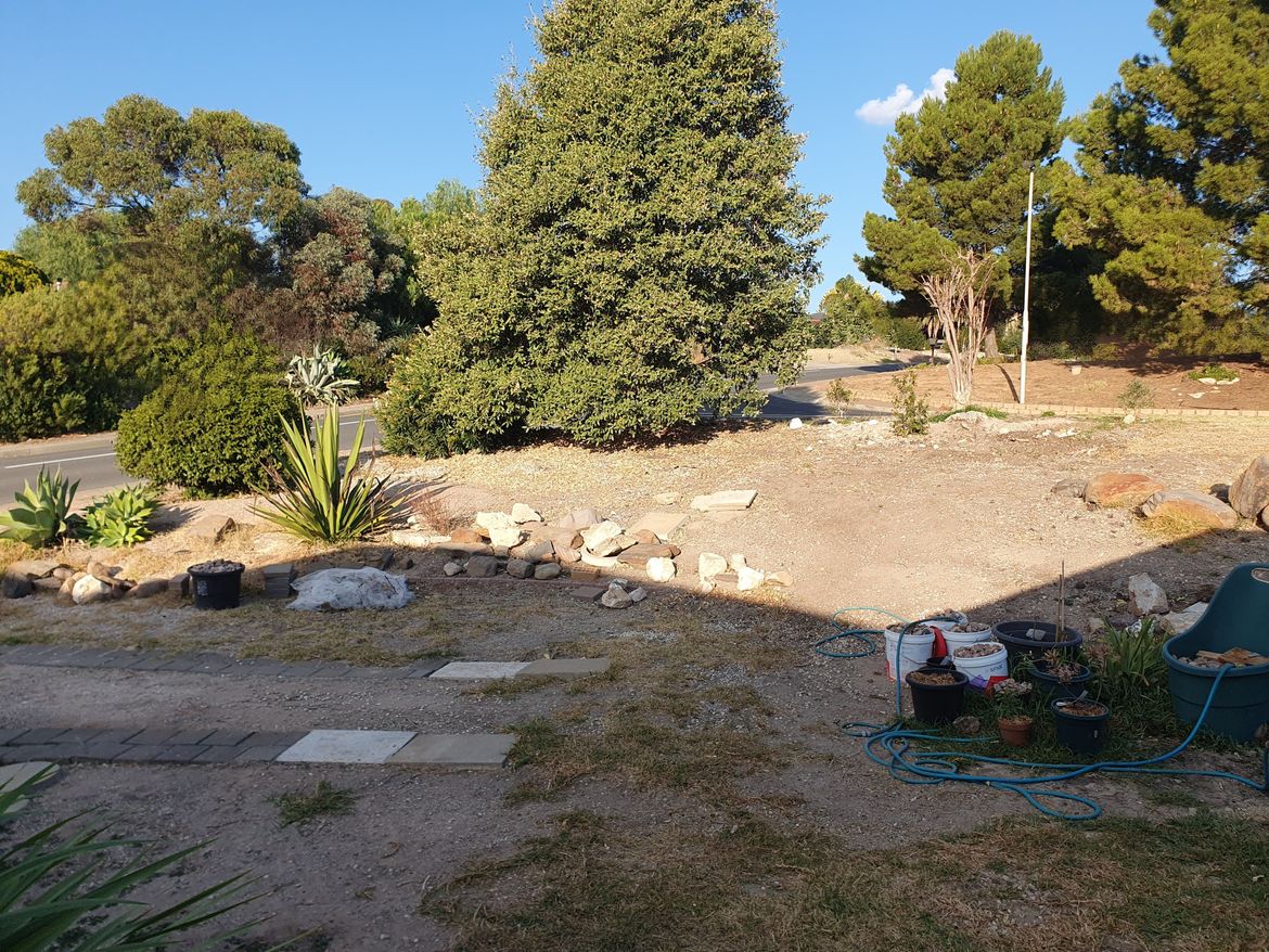 20240510_155301~2.jpg 20240510_155301~2.jpg