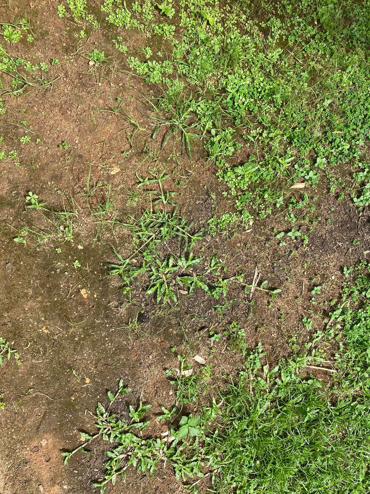 IMG_0605.jpg IMG_0605.jpg