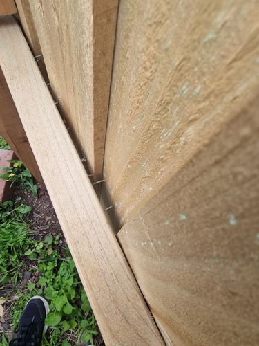 1000063717.jpg 1000063717.jpg