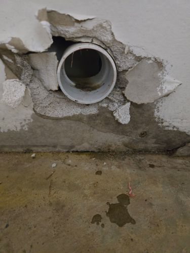 20240912_084725.jpg 20240912_084725.jpg